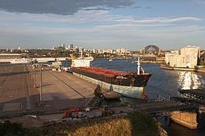 Pic: Mick Fletoridis